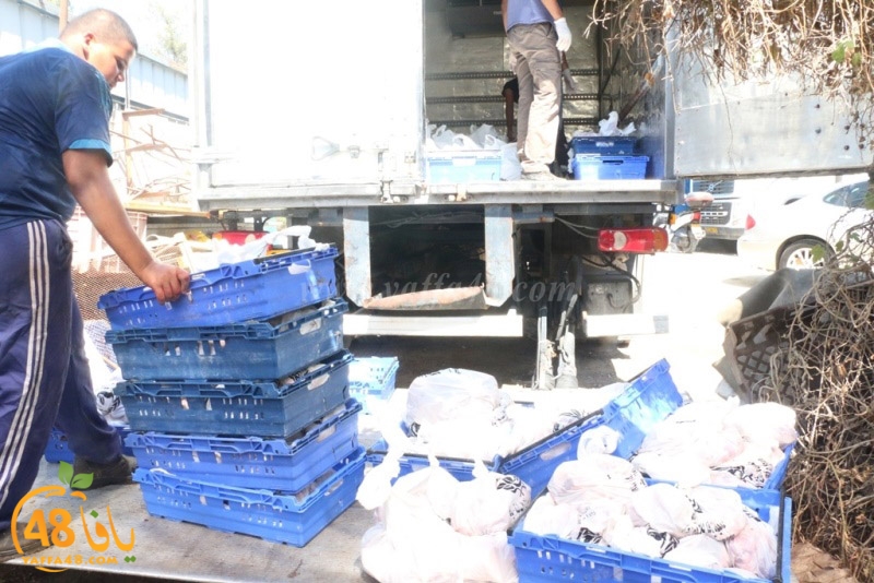 lod8om ada73y (33).JPG